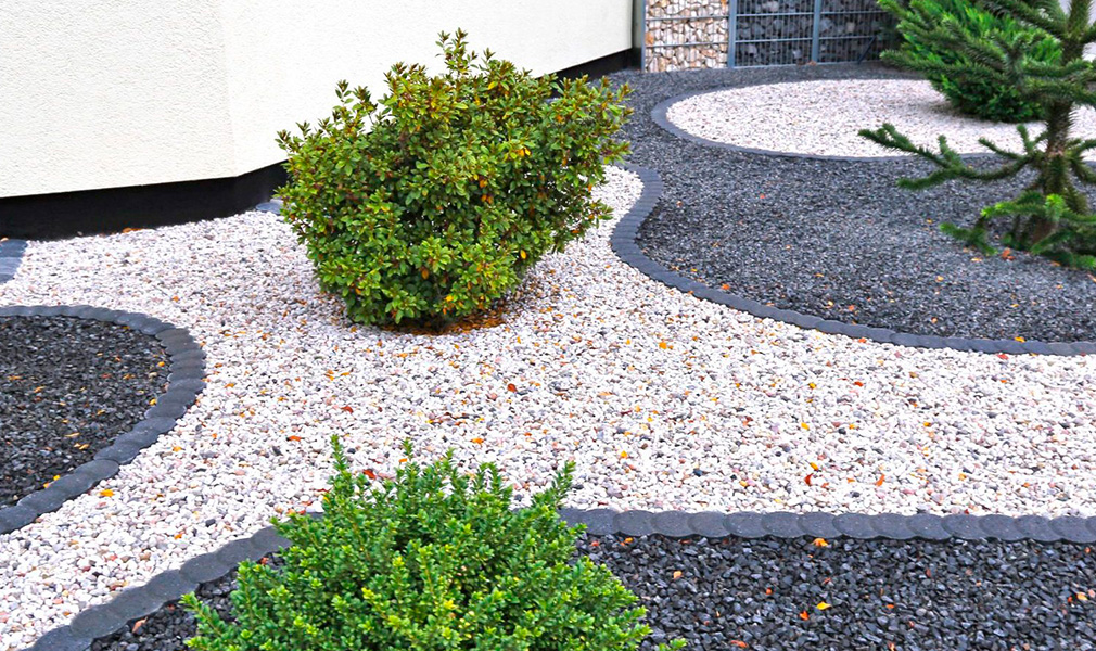 Bulk Trees, Shrubs and More